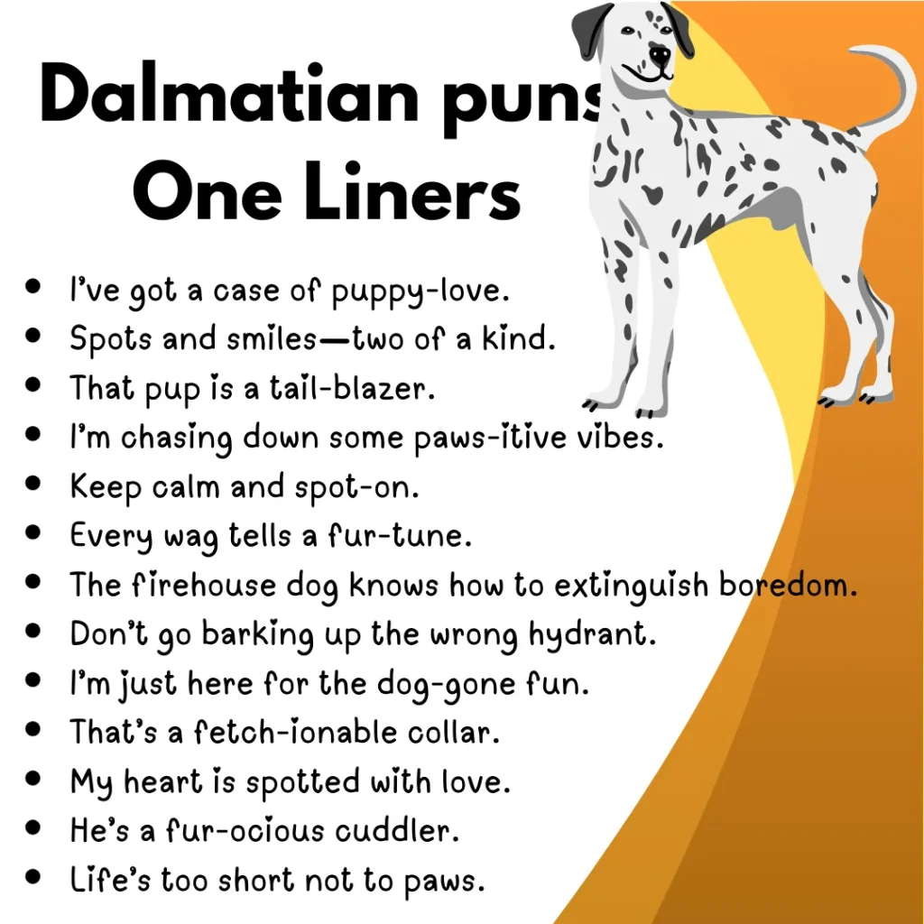 Dalmatian puns one liners