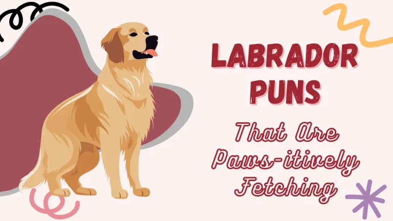 labrador puns