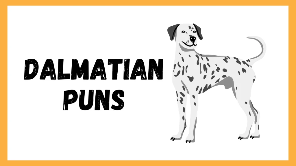 dalmatian puns