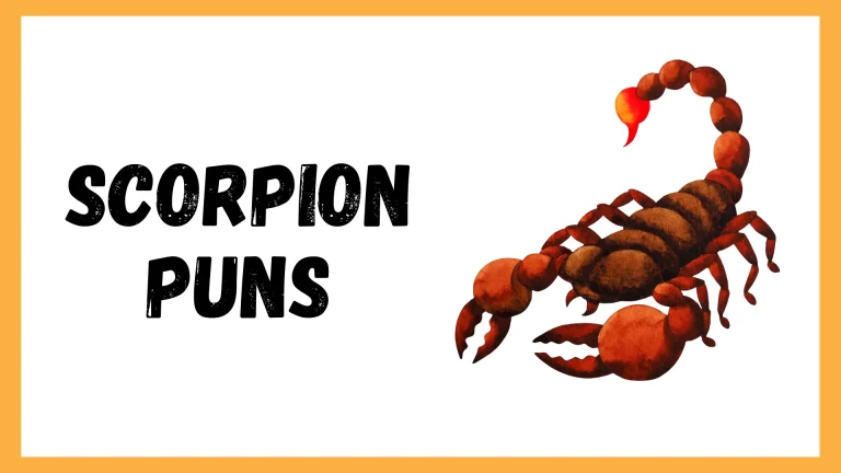 Scorpion Puns