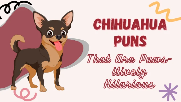 Chihuahua Puns