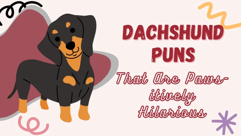 Dachshund Puns