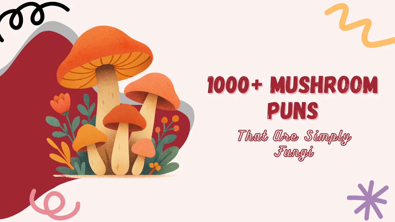 Mushroom Puns